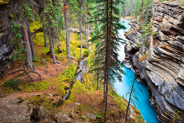 Athabaskan Falls gorge and river, Jasper National Park, Alberta, Canada