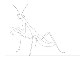praying mantis drawing in one continuous line, isolated, vector