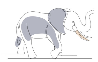 elephant drawing in one continuous line, isolated, vector
