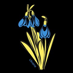 snowdrop in the colors of ukraine illustration