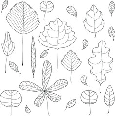 Vector illustration of leaves in a scandinavian style. Light set of a different shapes of hand drawn tree leaves.