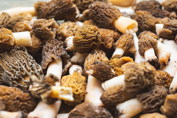 Full frame of freshly picked morchella mushrooms on wooden table