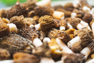 Full frame of freshly picked morchella mushrooms on wooden table