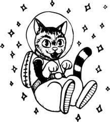 Cat in Space