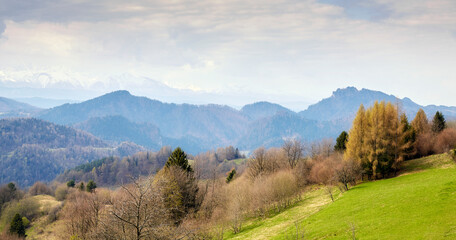 Fototapeta na wymiar Pieniny Mountains landscape, mountain range on the border of Poland and Slovakia, Poland.