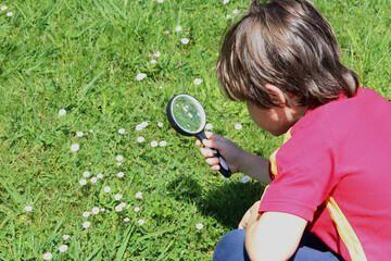 A child observes flowers in the field with a magnifying glass