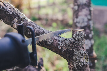 Woodcutter saws tree with chainsaw on sawmill