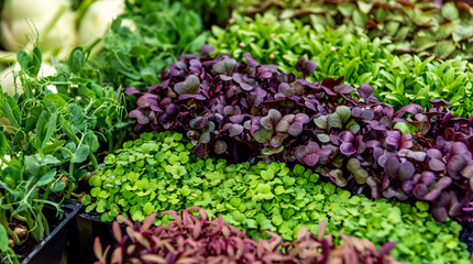 Vegetable market. Stall with fresh green vegetables