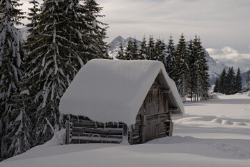 Small wooden hut in a fir forest in the mountains covered with snow