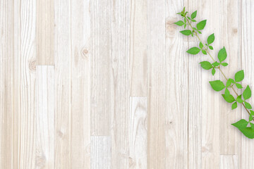 木目背景とグリーン