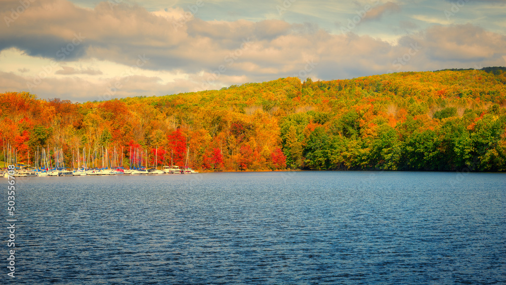 Poster Beautiful view of a calm lake with dense autumn forest