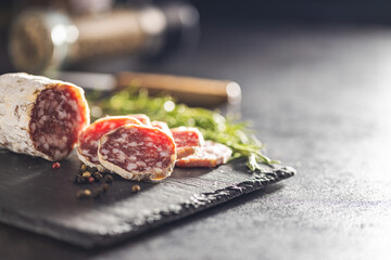 Traditional sausage with white mold. Dried sliced pork salami on cutting board.