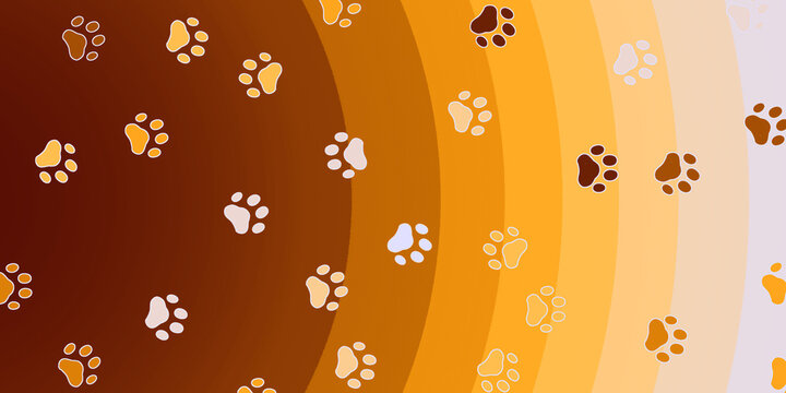 Fototapeta Tło zwierzęta domowe.