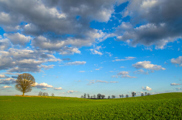 Pocztówka 2 © Krzysiek Cegiełka