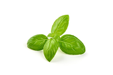 Basil leaves, isolated on white background.