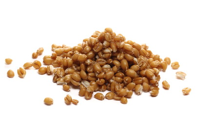 Cooked spelt grain pile isolated on white
