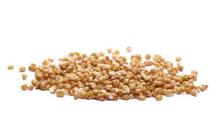 Cooked spelt grain pile isolated on white