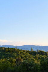 Naklejka na ściany i meble Forrest with Hills in Background by Dusk