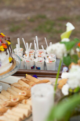 cake on a table. picnic with deserts