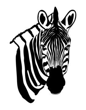 Zebra head line illustration vector