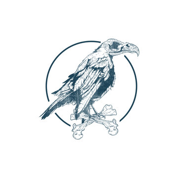 bird on a branch with a circle vector logo template 