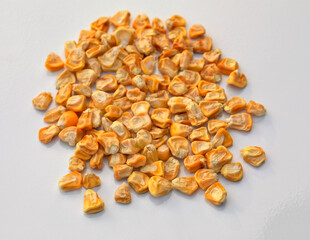 Corn seeds on a white background. Close-up.