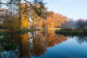 Obraz premium On the shore of the pond in the park, fall colors of the leaves, reflection of trees in the water.