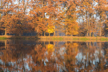 On the shore of the pond in the park, fall colors of the leaves, reflection of trees in the water.