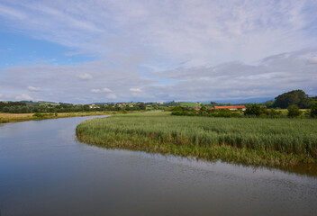 A river with vegetation along its banks under a cloudy sky