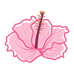 Tropical hibiscus flower Hibiscus. Pink decorative exotic flower vector illustration © Katya Bahr