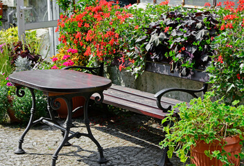 drewniany stół i ławka obok kolorowych kwiatów w doniczkach