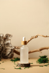 Transparent cosmetic dropper bottle on wooden podium. Natural forest cosmetic concept.