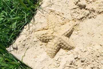 Children's sandbox. Sandbox molds. Children play in the sandbox. Sand on the playground.