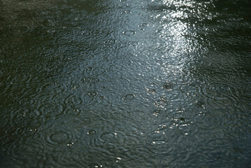 krople padającego deszczu do sadzawki © siwyk