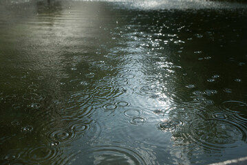 krople padającego deszczu © siwyk