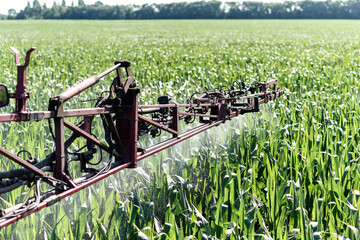 Self-propelled sprayer sprays pesticides on green corn on the field close up. Pesticide sprayer. The tractor sprays the grass with pesticides. - obrazy, fototapety, plakaty