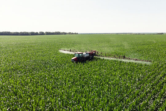 Self-propelled sprayer sprays green corn with pesticides on a photo field from a drone. The tractor sprays the grass with pesticides.