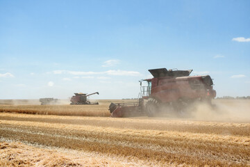 Combines harvest grain in the field, fence view. Red harvesters harvest wheat.