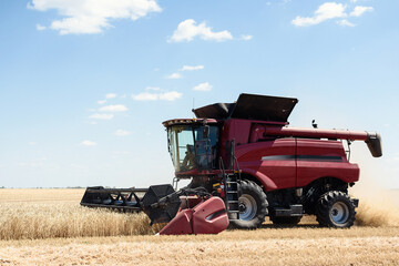 Combines harvest grain in the field, fence view. Red harvesters harvest wheat.
