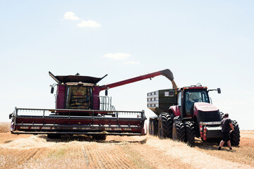 The combine unloads the harvested grain into a tractor trailer in the field.
