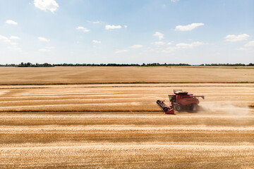 Harvester harvests in the field, drone view. Red Combine harvester collects wheat taken from a drone.