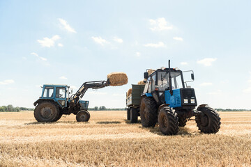 Fototapeta na wymiar Hay bales are loaded on a trailer by a tractor in the field during the summer season. A blue tractor loads straw bales into a trailer