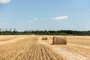 Straw bales on the field on the background of tractors