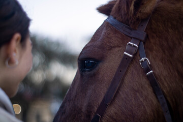 nena mirando a su caballo