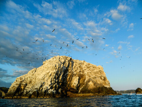 Roca Blanca Playa Zipolite Oaxaca