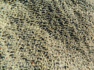 Textura de roca petrificada
