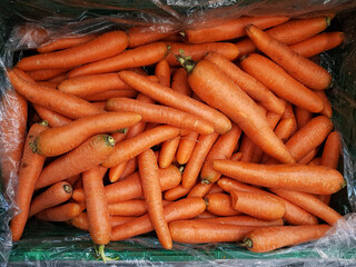 crate with carrots for sale