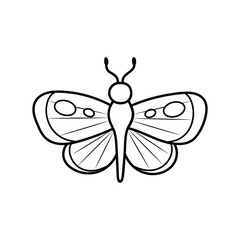 butterfly in doodle style, contour illustration of an insect , vector lineart of a moth