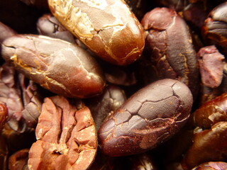 cacao beans