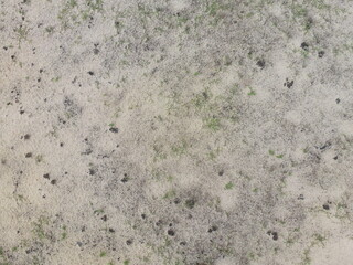 sand colors